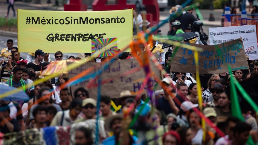 Tribunal mexicano falla en contra de Monsanto-Bayer en disputa sobre uso de glifosato