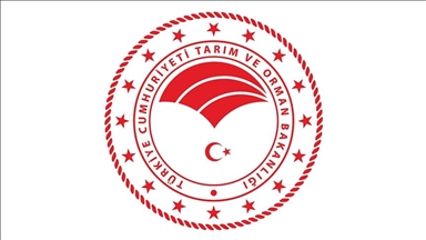 Tarım ve Orman Bakanlığından gıda işletmelerine laktoz ve glüten içeren ürünler için talimat