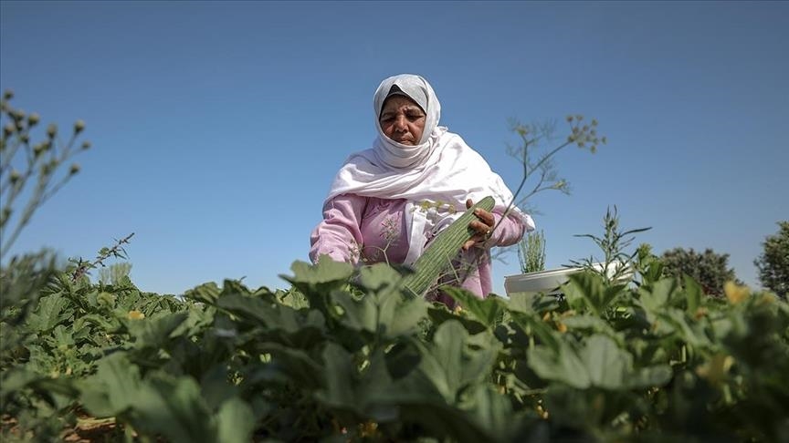 حضور زنان فلسطینی در صف مقدم مبارزه با اشغالگری اسرائیل