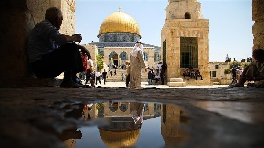 La Tragédie de « Sheikh Jarrah » à Jérusalem: l'histoire complète