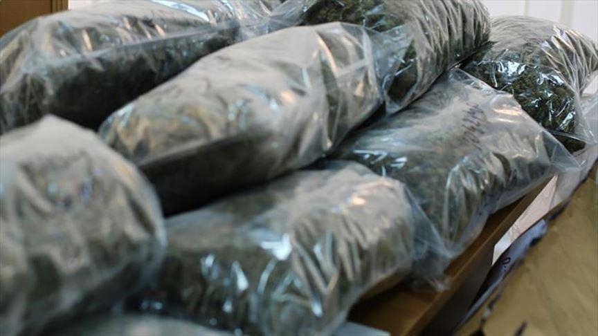 Beograd: Zaplenjeno oko 26 kilograma marihuane