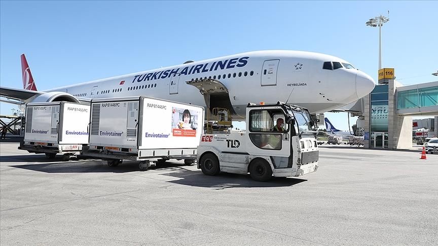 Another batch of Chinese vaccine arrives in Turkey