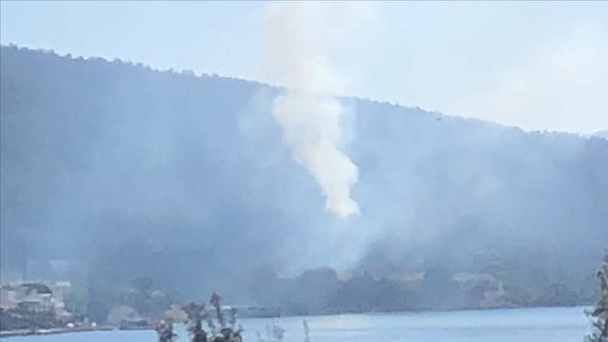 Muğla'nın Bodrum ilçesinde orman yangını çıktı