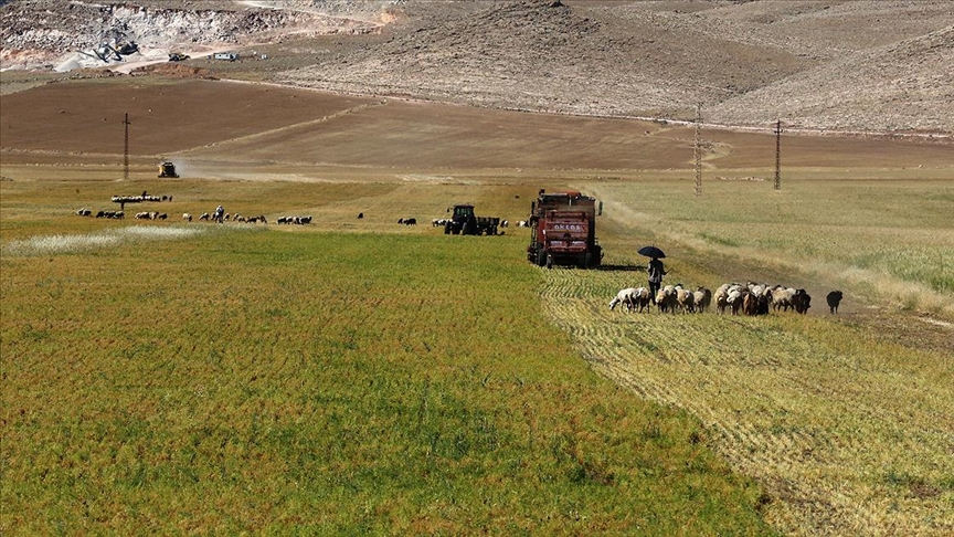 Mardin'in bereketli topraklarında tarımsal faaliyet bayramda da hız kesmedi