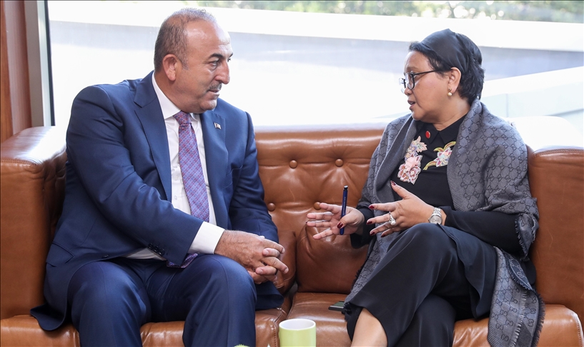 Turkish, Indonesian FMs discuss situation in Palestine