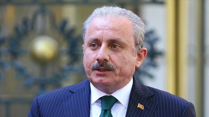 دعوة تركية عراقية لتحرك برلمانات "التعاون الإسلامي" ضد عدوان إسرائيل