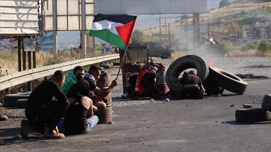 Pakistan to observe Palestine solidarity day on May 21