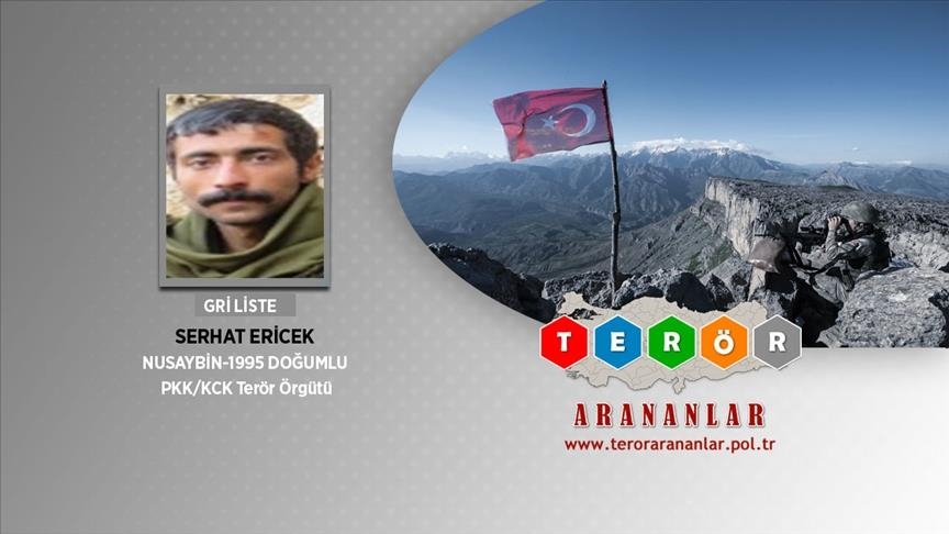 Wanted PKK terrorist neutralized in southeastern Turkey