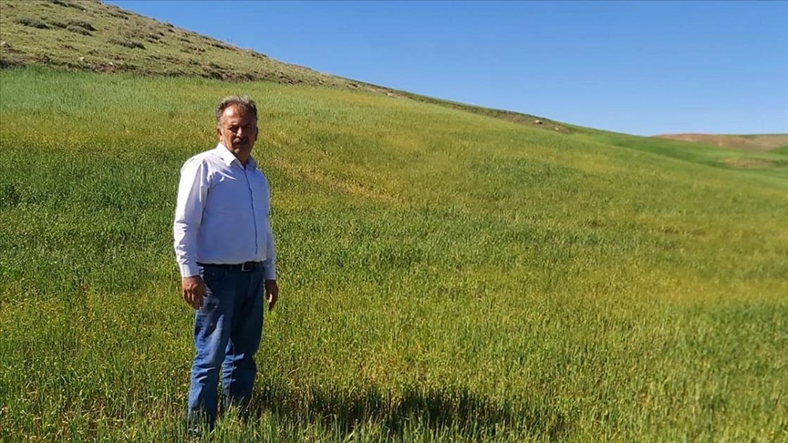 İç Anadolu'da kuraklık hububat üreticilerini endişelendiriyor