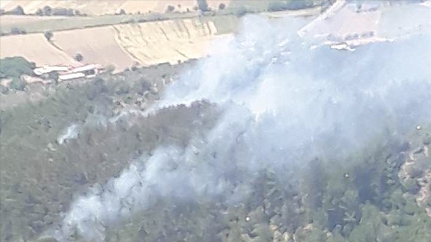 Muğla'da çıkan orman yangınında 1 hektar alan zarar gördü