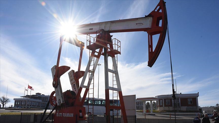 В трех новых скважинах в Турции обнаружена нефть