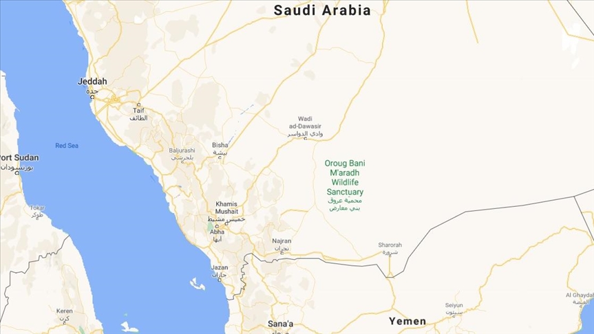 Saudi-led coalition denies Houthi claims of Saudi territorial gains