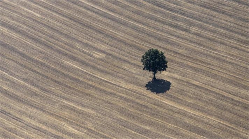 Chile fue el primer país de América Latina en agotar todos sus recursos naturales del 2021