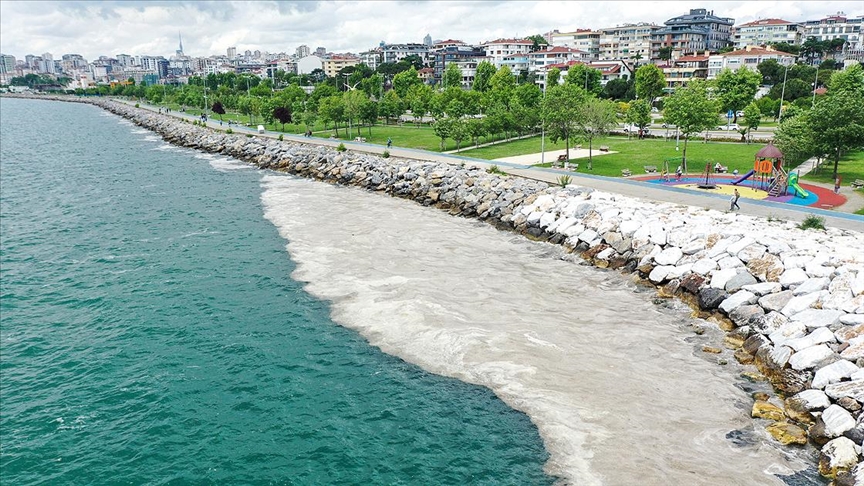 Deniz salyası Anadolu Yakası'nda bazı bölgelerde görülmeye devam ediyor
