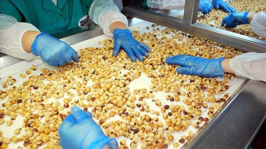 Экспорт турецкого фундука за 9 месяцев превысил $1,6 млрд