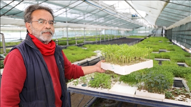 Terasında hobi olarak başladığı sebze yetiştiriciliğinde organik sertifikalı üretici oldu