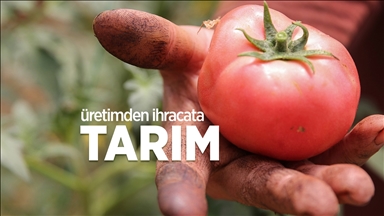 Üretimden İhracata Tarım