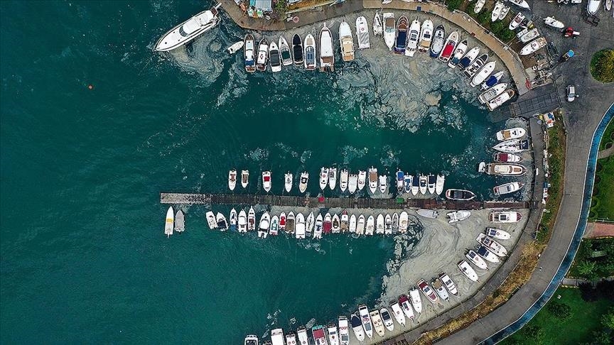 Turkey prepares emergency plan for Marmara sea snot problem