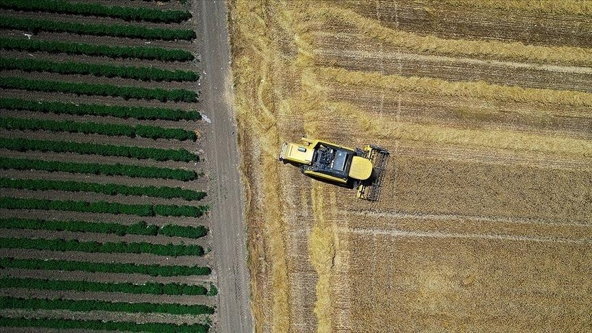 Экспорт турецкой сельхозпродукции в январе-мае побил рекорд