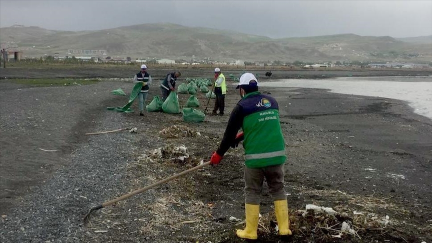 Waste management big challenge for cities: UN-Habitat head