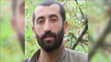 Wanted PKK terrorist among 3 recently neutralized in Turkey