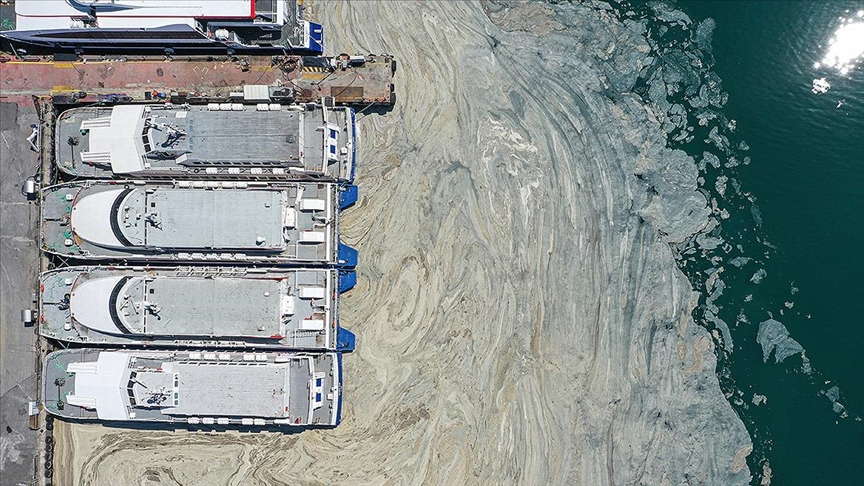 marmara denizi ndeki musilaj sorunu icin laboratuvarda reaktif oksijen calismasi deneniyor
