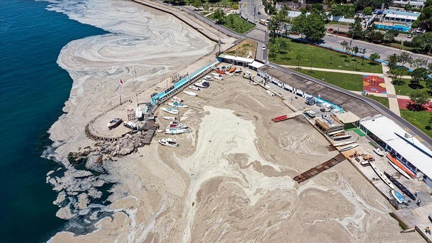 Teams start clearing Turkish shores of sea snot