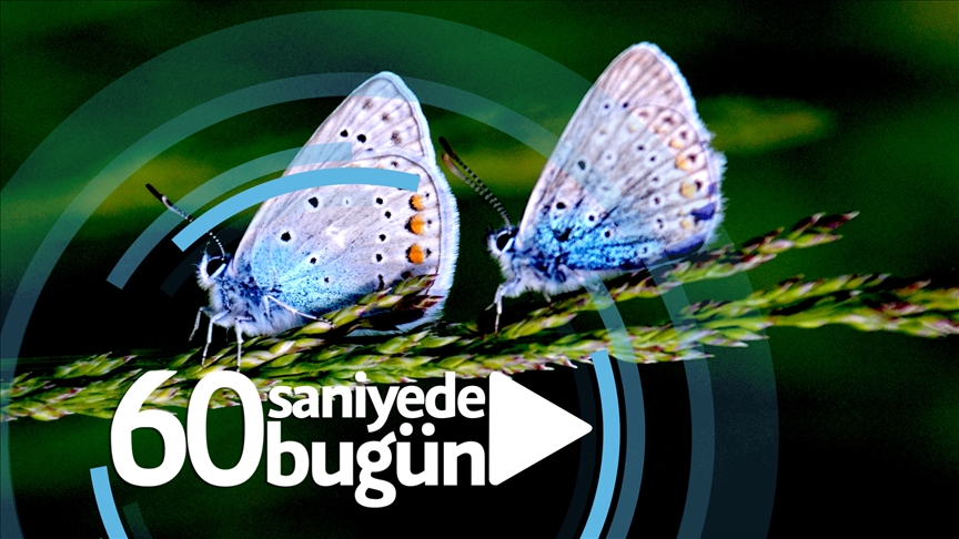 60 saniyede bugün (06 Haziran 2021)