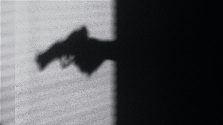 Senior Iraqi intelligence officer assassinated in Baghdad