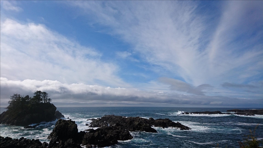 Only healthy ocean can help keep climate balanced, feed growing population: Expert