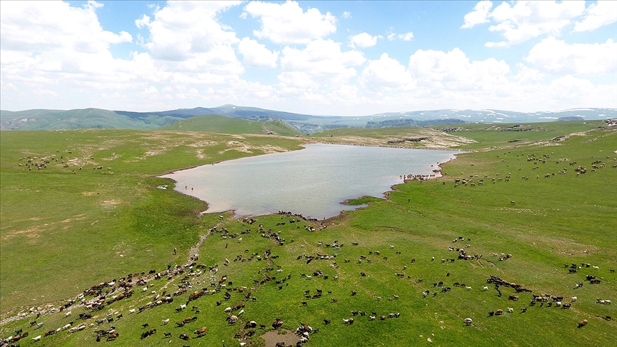 Erzurum'da yapılan 400 gölet tarım ve hayvancılığa 'can suyu' oluyor