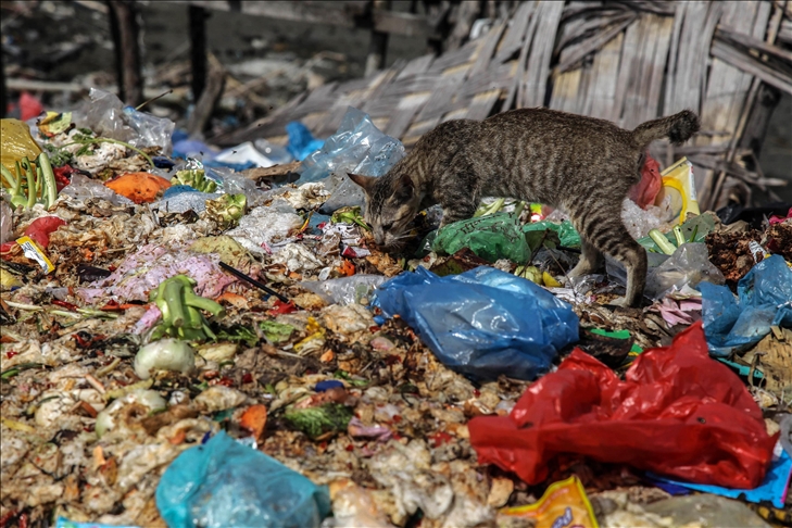 Indonesia Hasilkan Sampah Makanan 13 Juta Ton Per Tahun Riset 8219