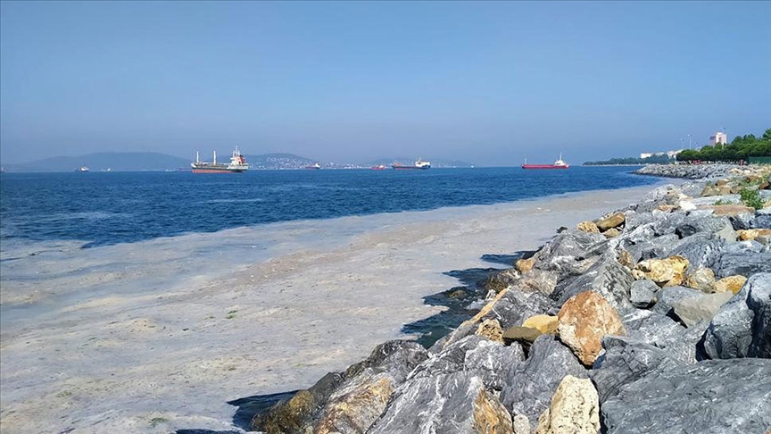Marmara Denizi'nin müsilajdan kurtarılması için 'acil eylem planı'nın uygulanması önemli