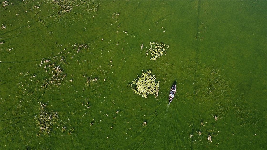 Denizli'de suları çekilen nehirde 'Sudan Koyun Geçirme Yarışması' düzenlemek için çözüm aranıyor