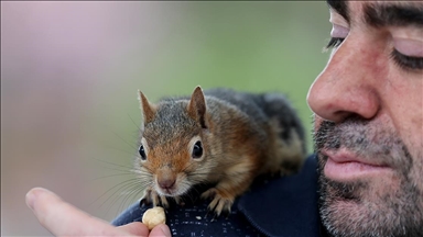 Omzunda 'baba yadigarı' sincapla İstanbul'u geziyor