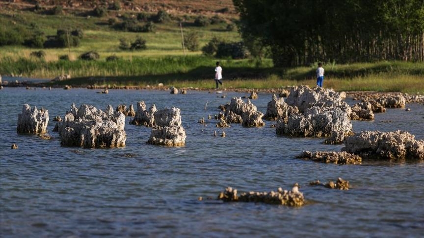 Microbialites emerge in Turkey's Lake Van after water ebbs