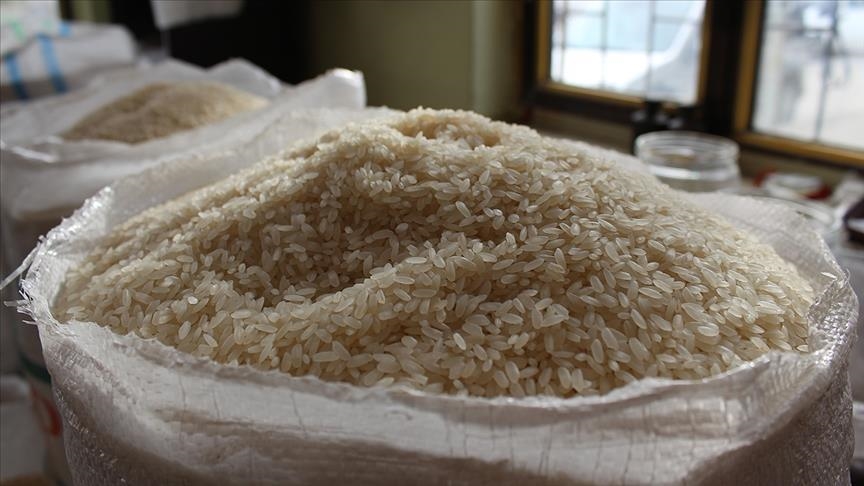 Pakistani rice deals export