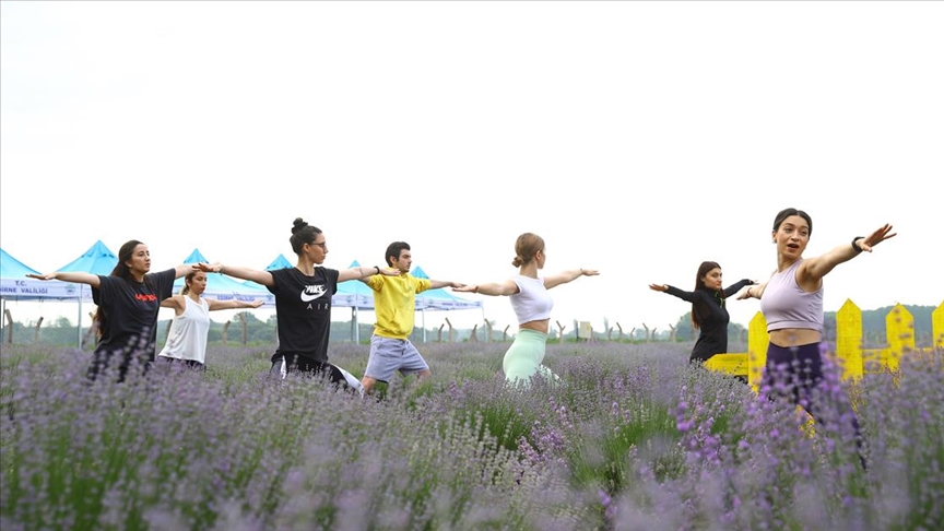 Lavantalar arasında yoga yaparak güne başladılar