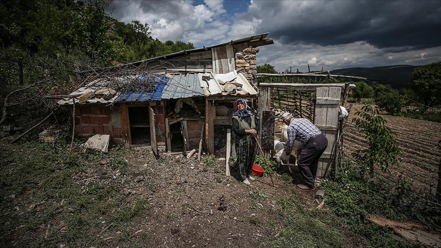 Bursa'da terk ettikleri köye yıllar sonra dönen vatandaşlar geçmişi özlemle arıyor
