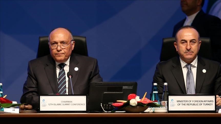 سامح شكري: تصريحات تشاووش أوغلو حول تبادل السفراء "مقدرة" 