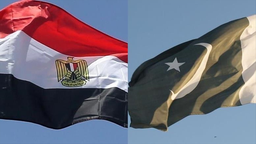 Egypt, Pakistan discuss military cooperation in Cairo