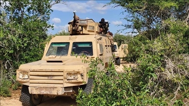 Somali military claims killing 50 al-Shabaab terrorists