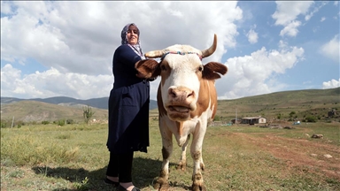 Köyünde hem kanserle savaşını kazandı hem de üretici oldu