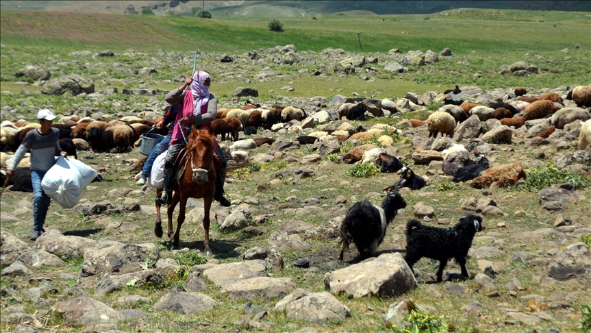 Li Mûşê bêrîvan her roj ser pişta hespan 8 kîlomêtre rê diçin