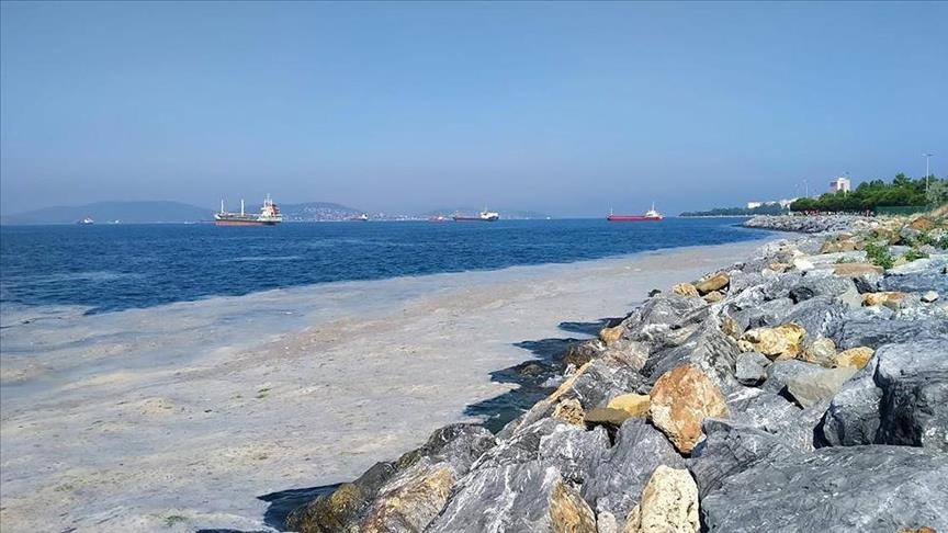 Turkey collects over 2,600 cubic meters of mucilage from sea