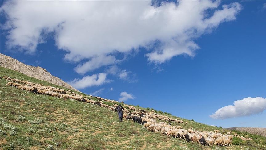 Huzura kavuşan Tunceli'nin doğal güzellikleri göz kamaştırıyor 