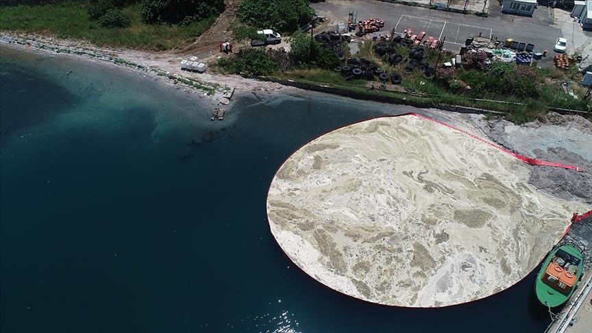 Turquie: 2 166 mètres cubes de mucilage ramassés en six jours dans la mer de Marmara