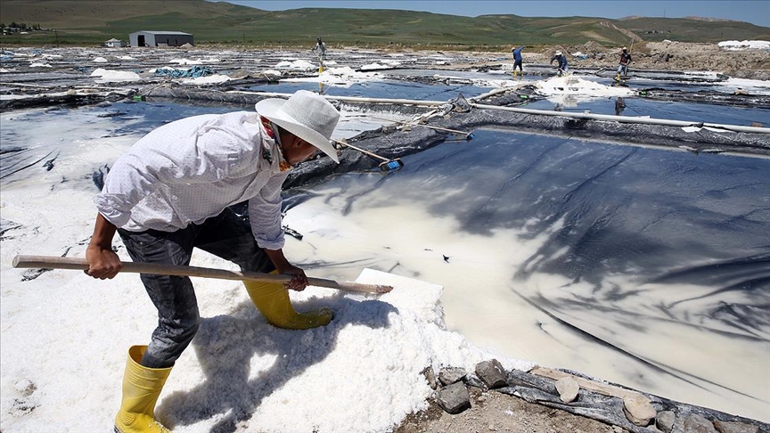 Xoya ku li Mûşê tê çêkirin li çar aliyê welêt tê bikaranîn