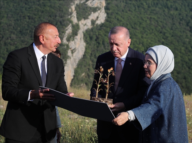 Erdogan harapkan perdamaian regional pada platform 6 negara