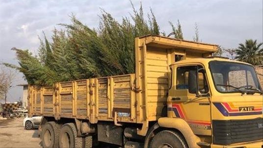 "تشجير أمني" بمستوطنات إسرائيلية لحمايتها من نيران غزة